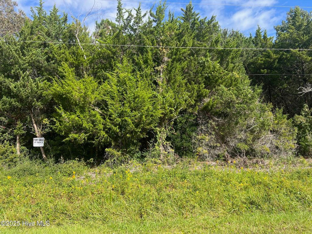 Photo of 157 Sunrise Drive, Beaufort, NC 28516 (MLS # 100538718)