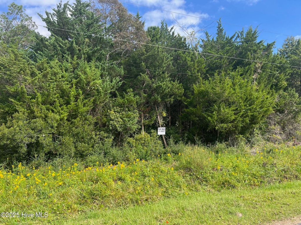 Photo of 157 Sunrise Drive, Beaufort, NC 28516 (MLS # 100538718)