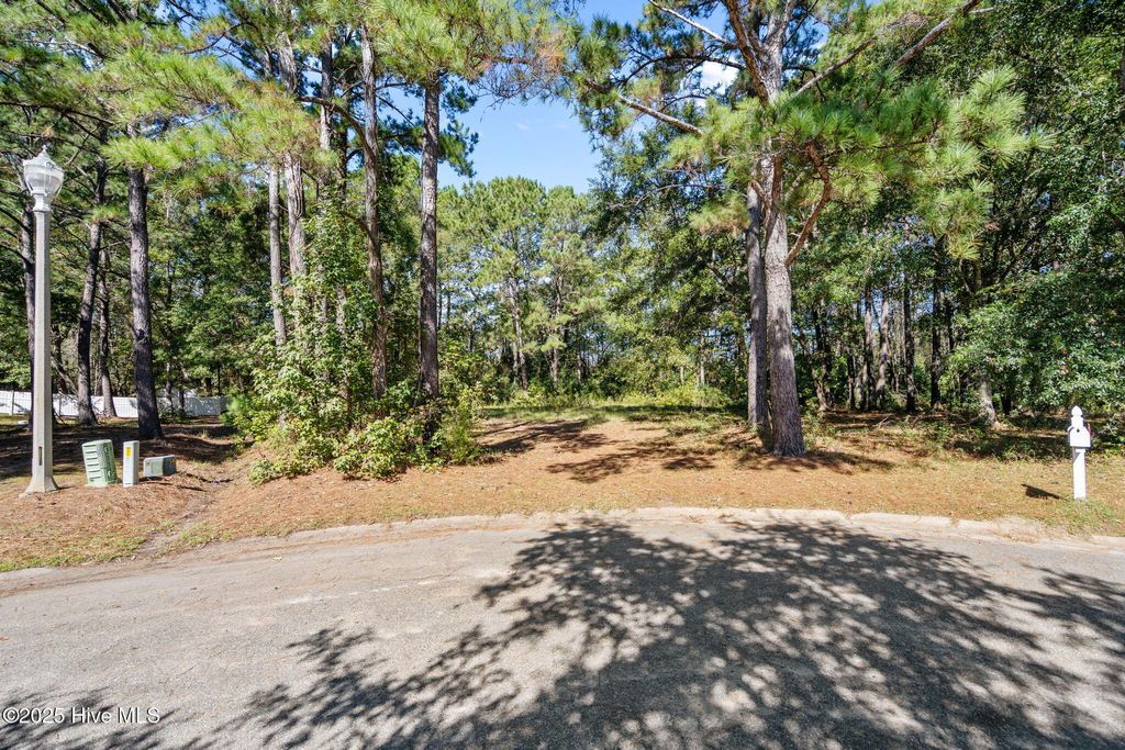 Photo of 444 Kristen Lane SW, Supply, NC 28462 (MLS # 100537620)