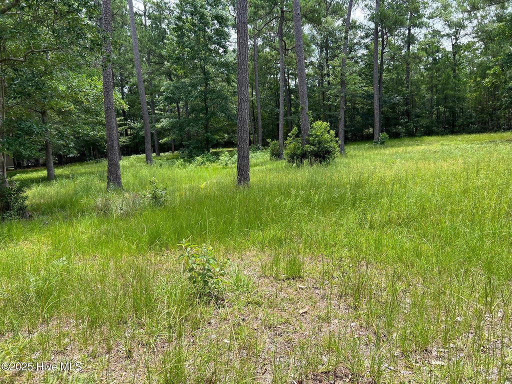 Photo of 9 Bay Hill Court, Shallotte, NC 28470 (MLS # 100517452)