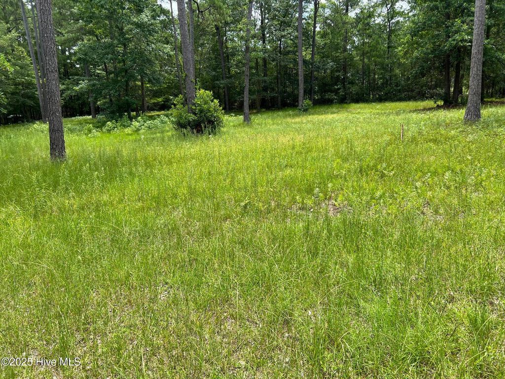 Photo of 9 Bay Hill Court, Shallotte, NC 28470 (MLS # 100517452)