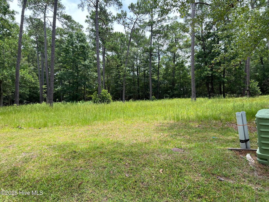 Photo of 9 Bay Hill Court, Shallotte, NC 28470 (MLS # 100517452)