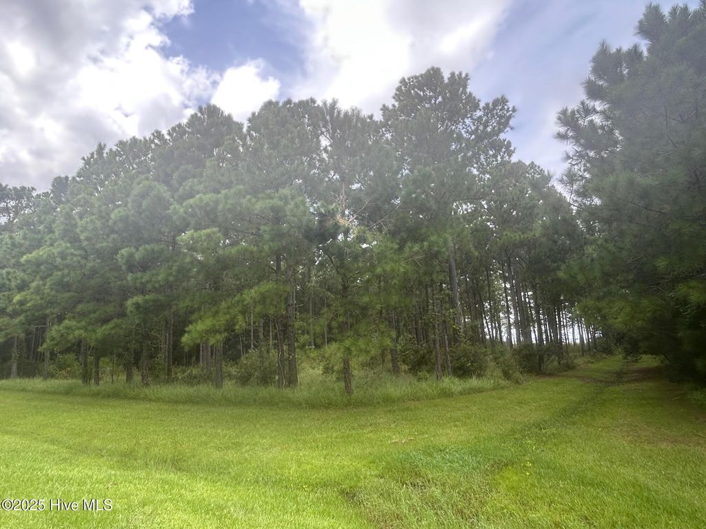 Photo of 297 Garbacon Drive, Beaufort, NC 28516 (MLS # 100526862)
