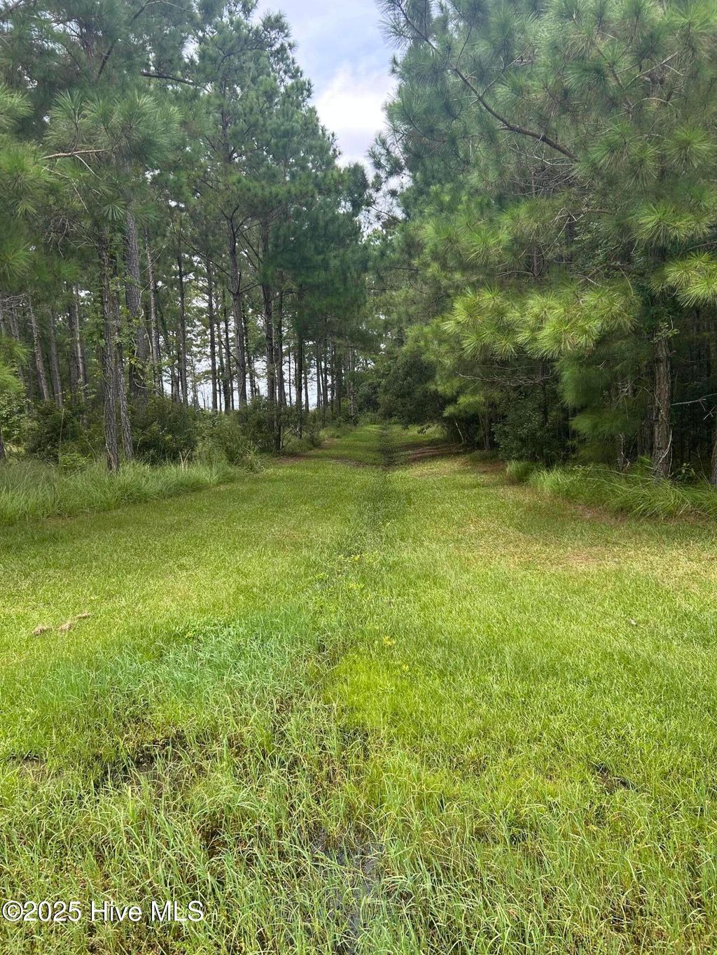 Photo of 297 Garbacon Drive, Beaufort, NC 28516 (MLS # 100526862)