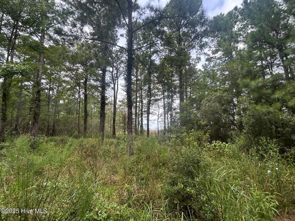 Photo of 297 Garbacon Drive, Beaufort, NC 28516 (MLS # 100526862)