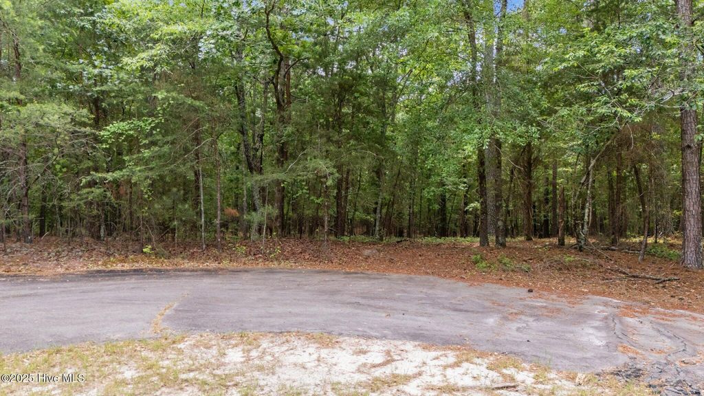 Photo of 111 Millstone Court, West End, NC 27376 (MLS # 100510055)