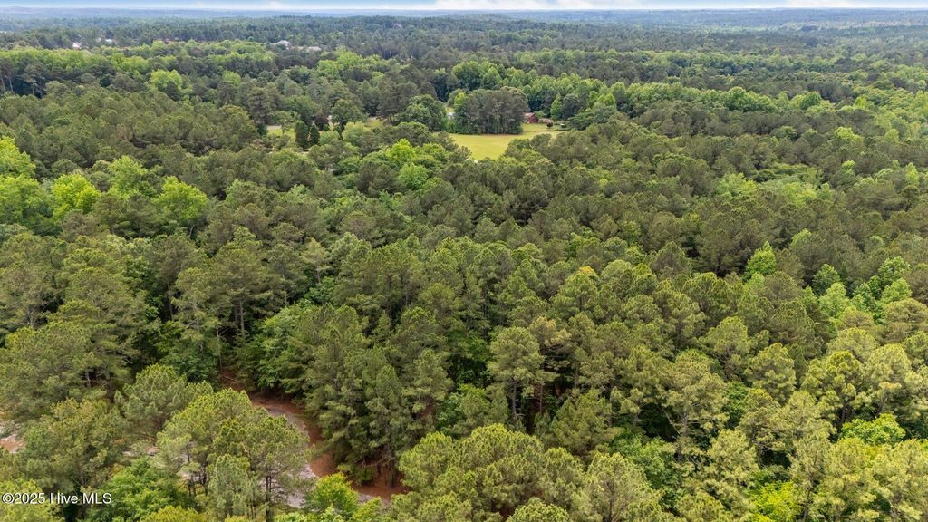 Photo of 111 Millstone Court, West End, NC 27376 (MLS # 100510055)