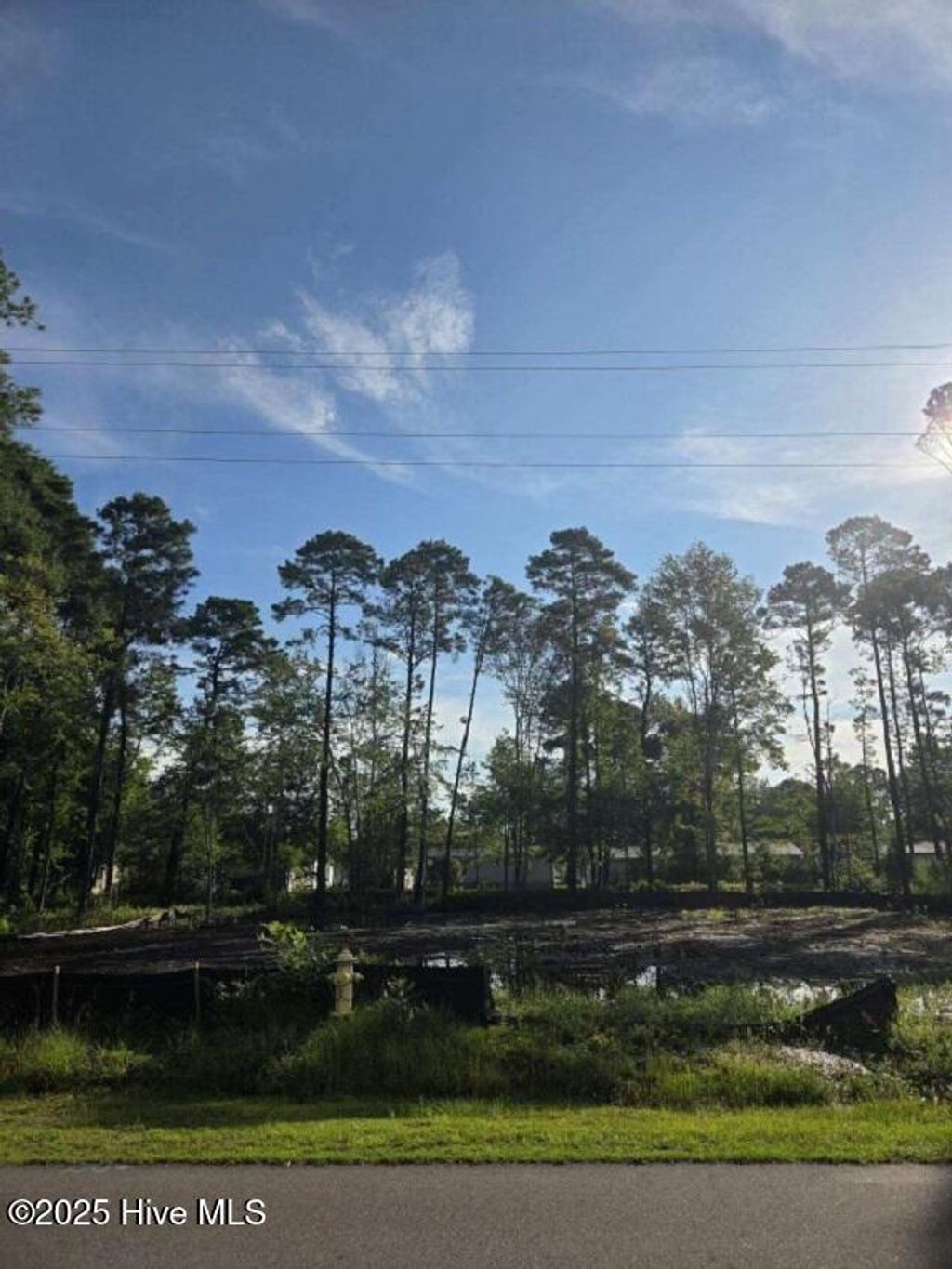 Photo of 63 Pinewood Drive, Calabash, NC 28467 (MLS # 100525307)