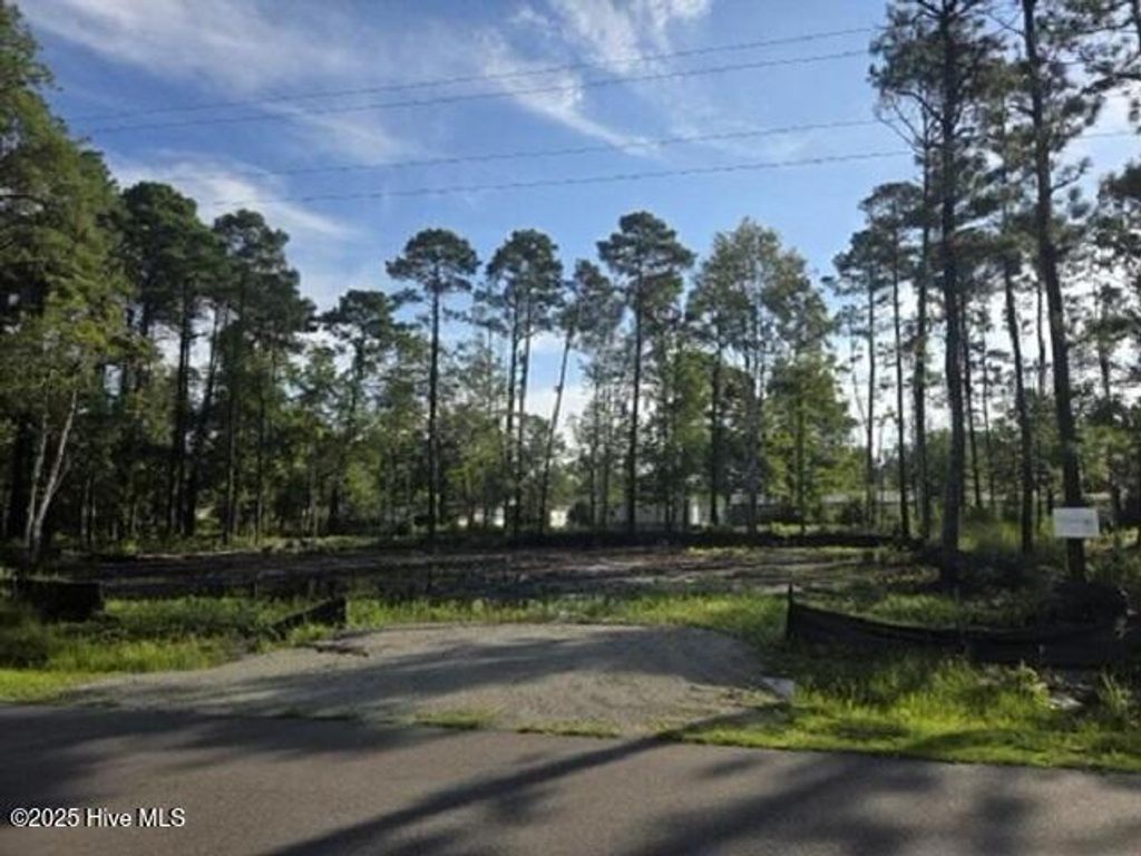 Photo of 63 Pinewood Drive, Calabash, NC 28467 (MLS # 100525307)