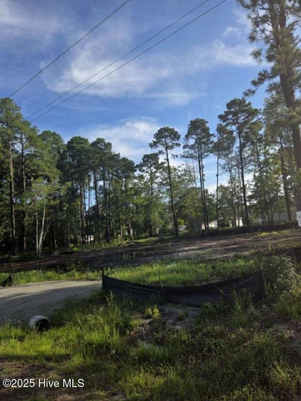 Photo of 63 Pinewood Drive, Calabash, NC 28467 (MLS # 100525307)