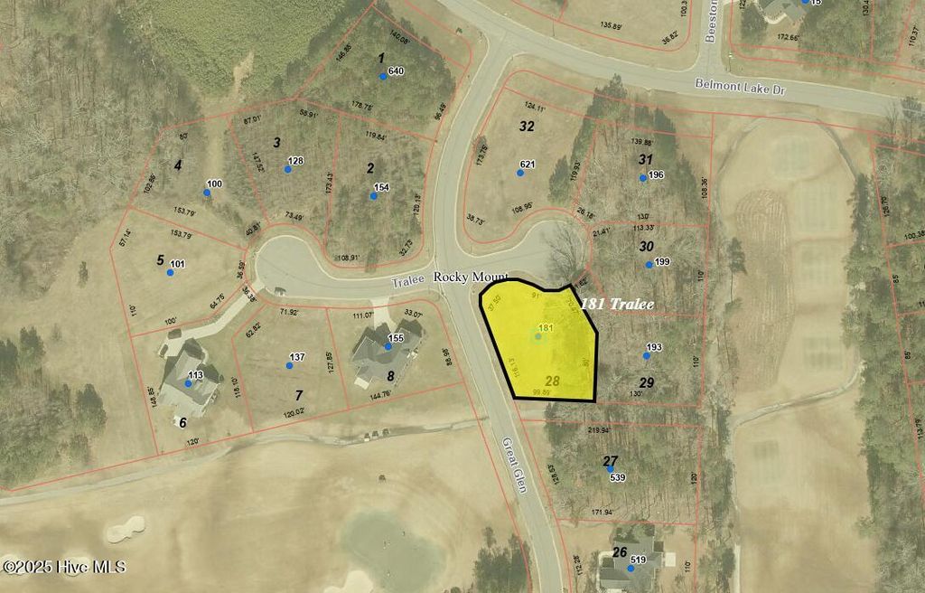 Photo of 181 Tralee Ct, Rocky Mount, NC 27804 (MLS # 100493939)
