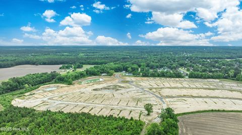 Tiny photo for 264 Red Vineyard Way #Lot 15, Jacksonville, NC 28546 (MLS # 100543176)