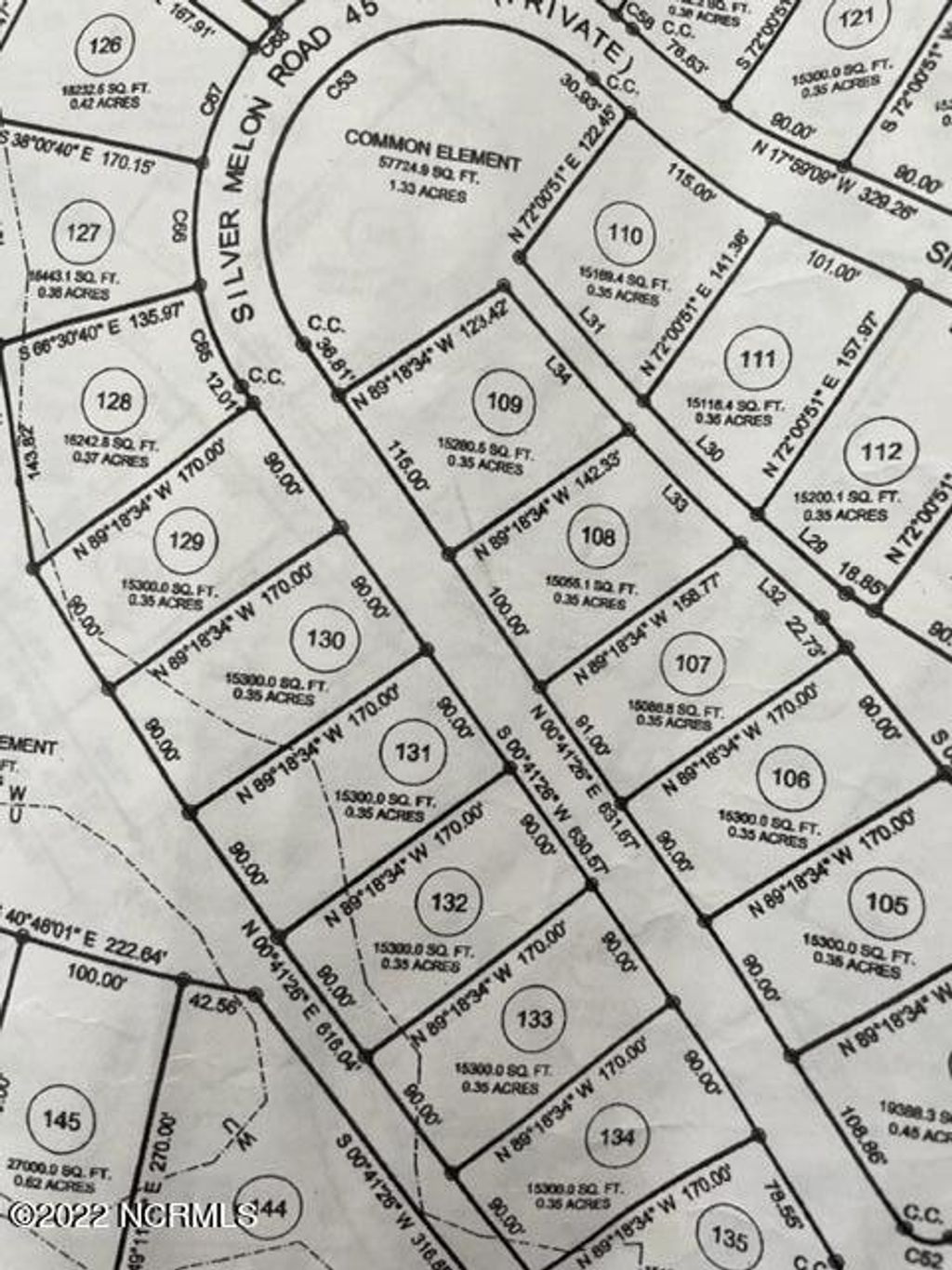 Photo of 3812 Silver Melon Road NE, Leland, NC 28451 (MLS # 100355328)