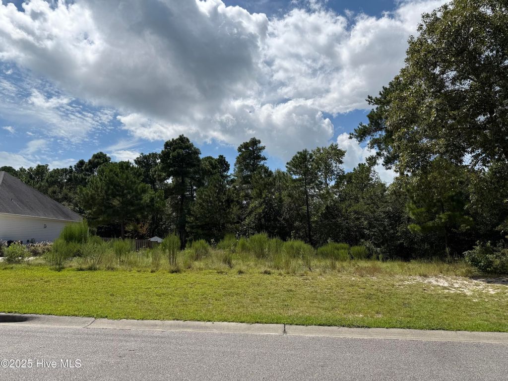 Photo of 3812 Silver Melon Road NE, Leland, NC 28451 (MLS # 100355328)