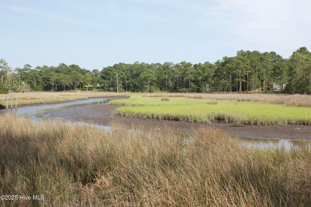 Photo of 407 Salt Creek Road, Swansboro, NC 28584 (MLS # 100473101)