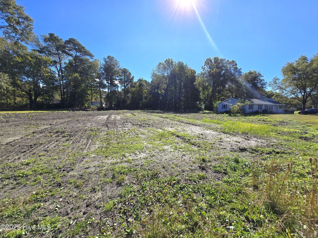 Photo of 1388 Old Folkstone Road, Sneads Ferry, NC 28460 (MLS # 100539206)