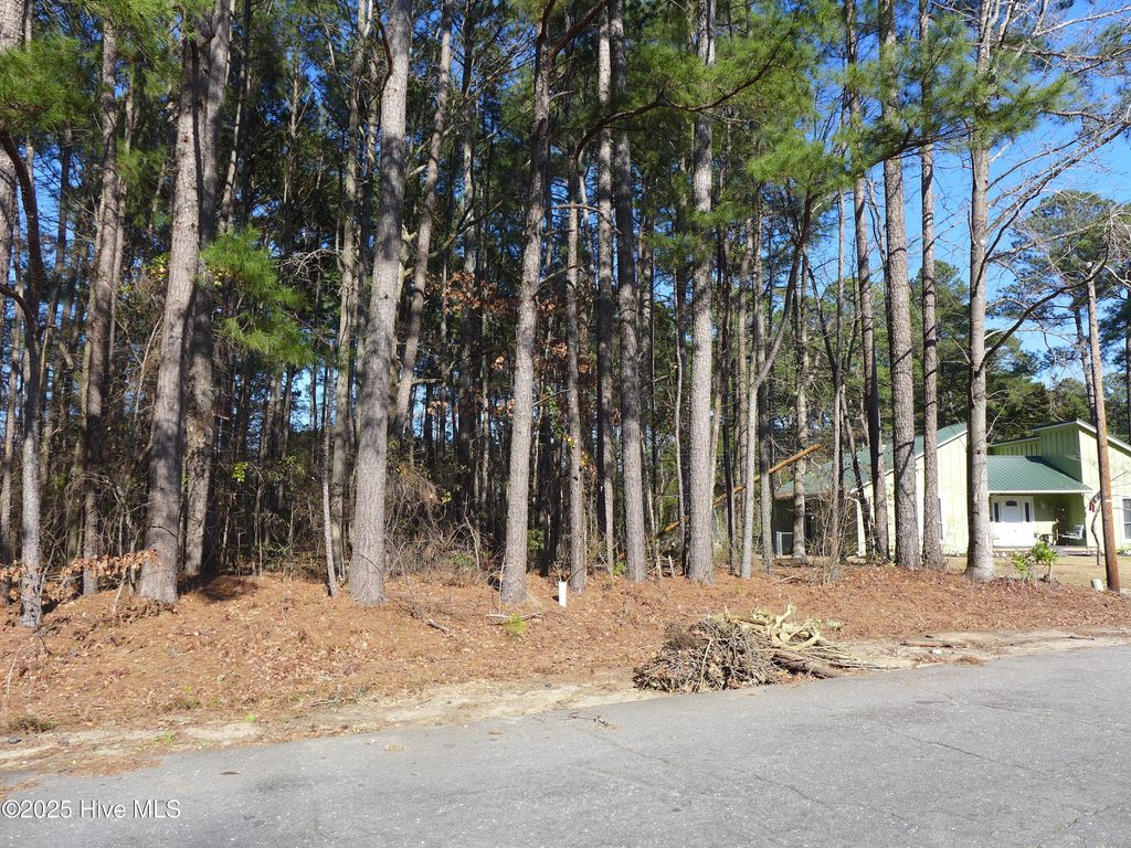 Photo of 306 Daniel Drive, Goldsboro, NC 27534 (MLS # 100491975)