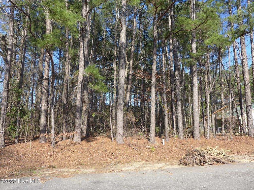 Photo of 306 Daniel Drive, Goldsboro, NC 27534 (MLS # 100491975)
