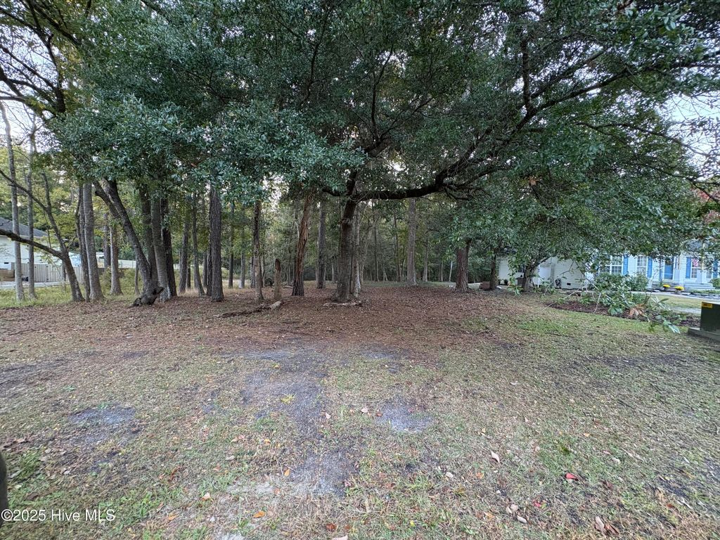 Photo of 1618 Gores Landing Road SW, Ocean Isle Beach, NC 28469 (MLS # 100539975)