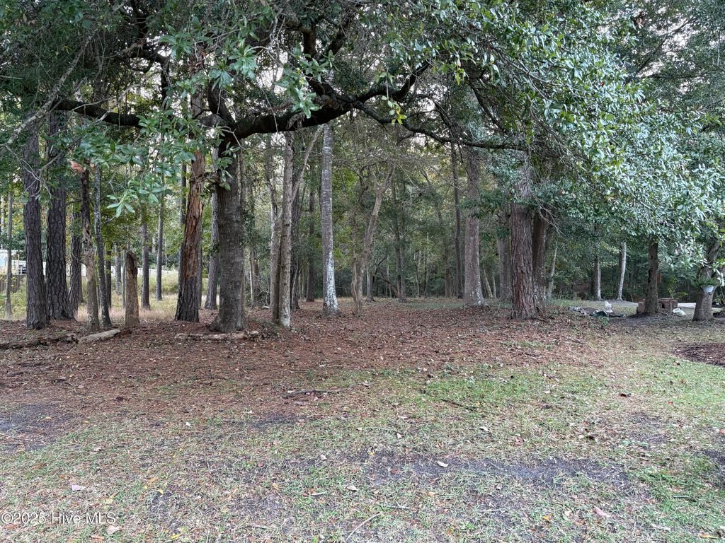 Photo of 1618 Gores Landing Road SW, Ocean Isle Beach, NC 28469 (MLS # 100539975)