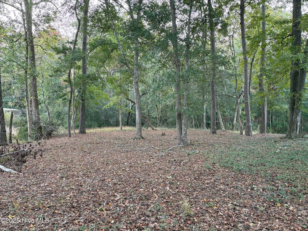 Photo of 1618 Gores Landing Road SW, Ocean Isle Beach, NC 28469 (MLS # 100539975)