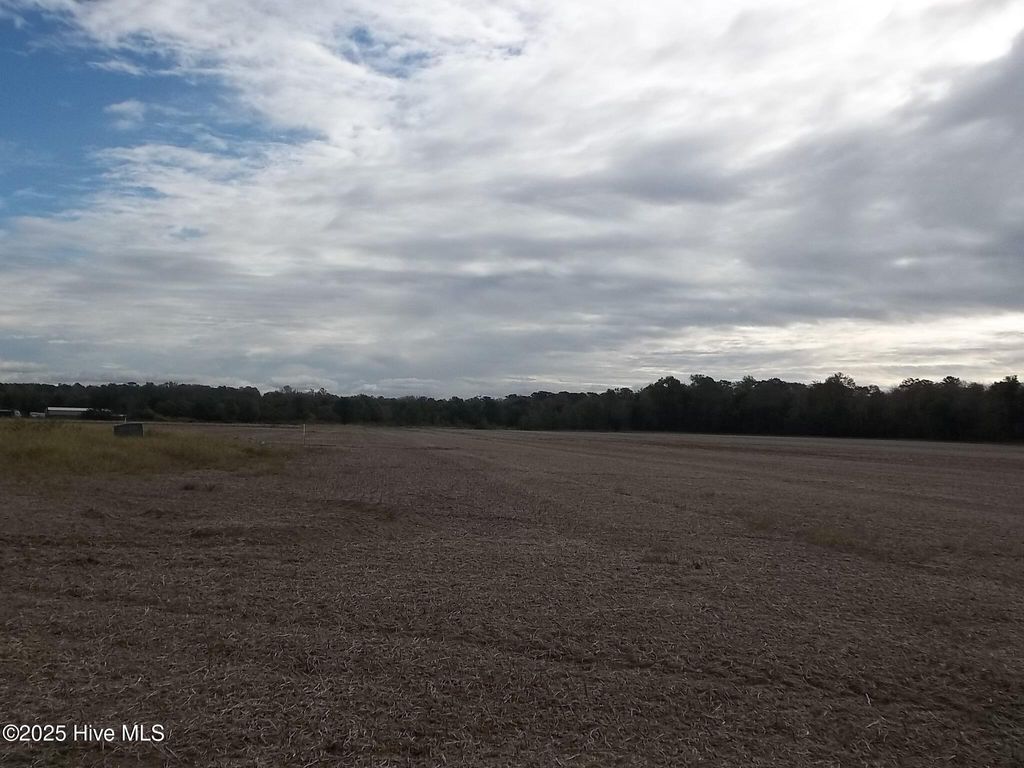 Photo of 271 Old Swamp Road, South Mills, NC 27976 (MLS # 100538466)