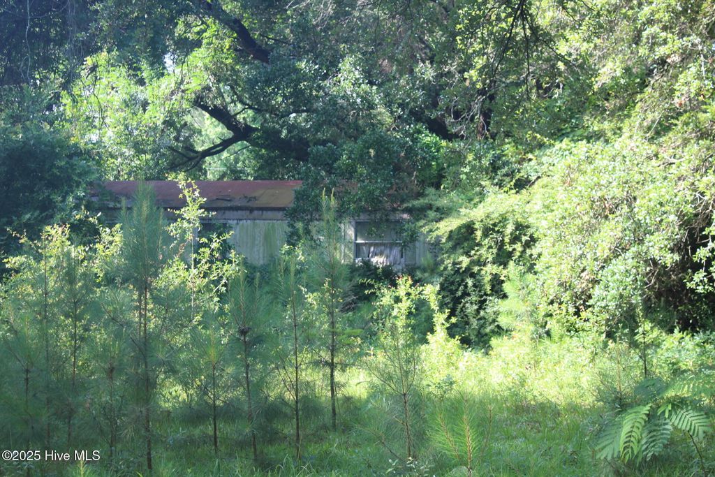 Photo of 238 Loder Avenue, Wilmington, NC 28409 (MLS # 100513235)