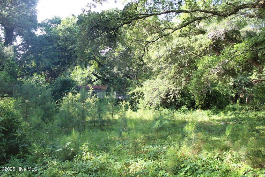 Photo of 238 Loder Avenue, Wilmington, NC 28409 (MLS # 100513235)