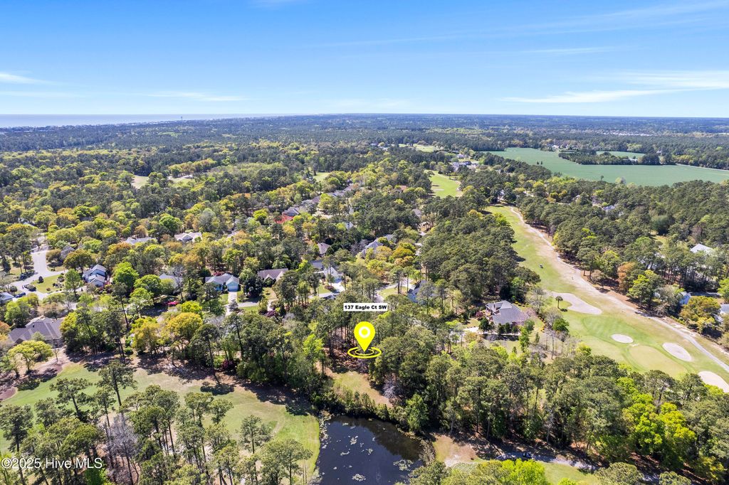 Photo of 137 Eagle Court SW, Supply, NC 28462 (MLS # 100502137)