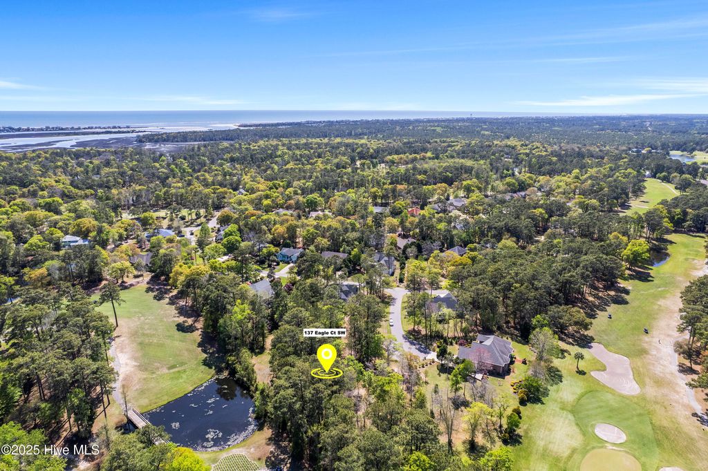 Photo of 137 Eagle Court SW, Supply, NC 28462 (MLS # 100502137)