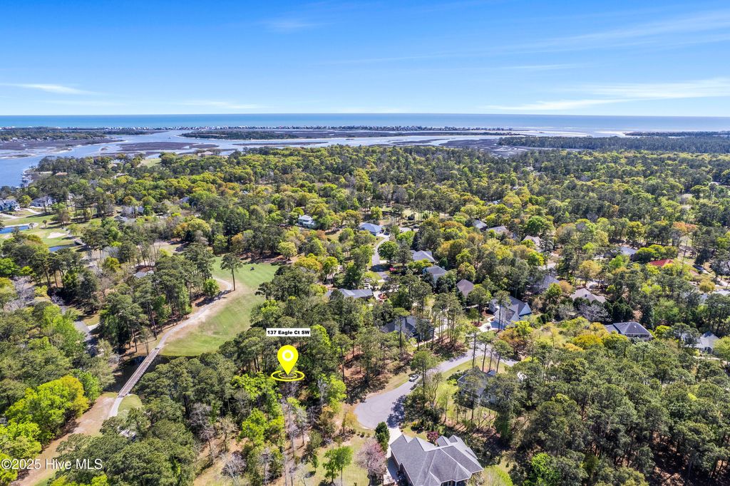 Photo of 137 Eagle Court SW, Supply, NC 28462 (MLS # 100502137)