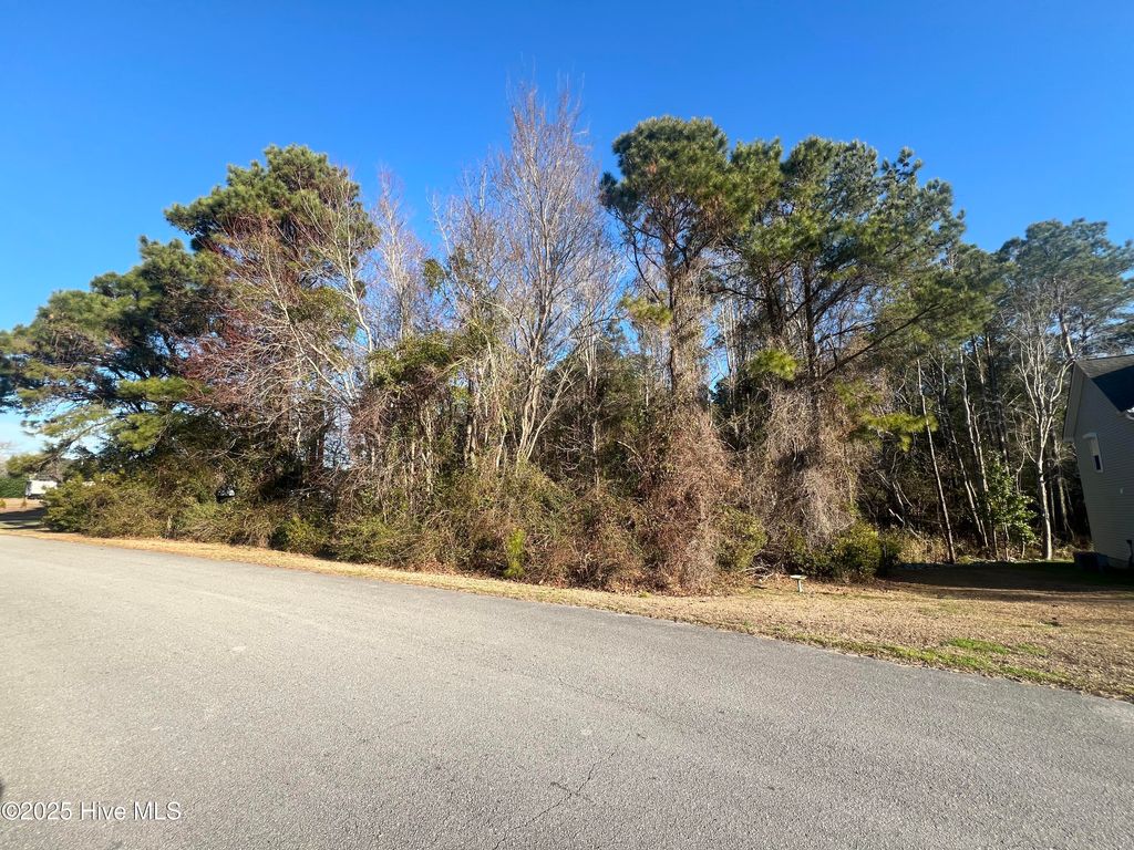 Photo of 2 Riva Ridge Road, Sneads Ferry, NC 28460 (MLS # 100490902)