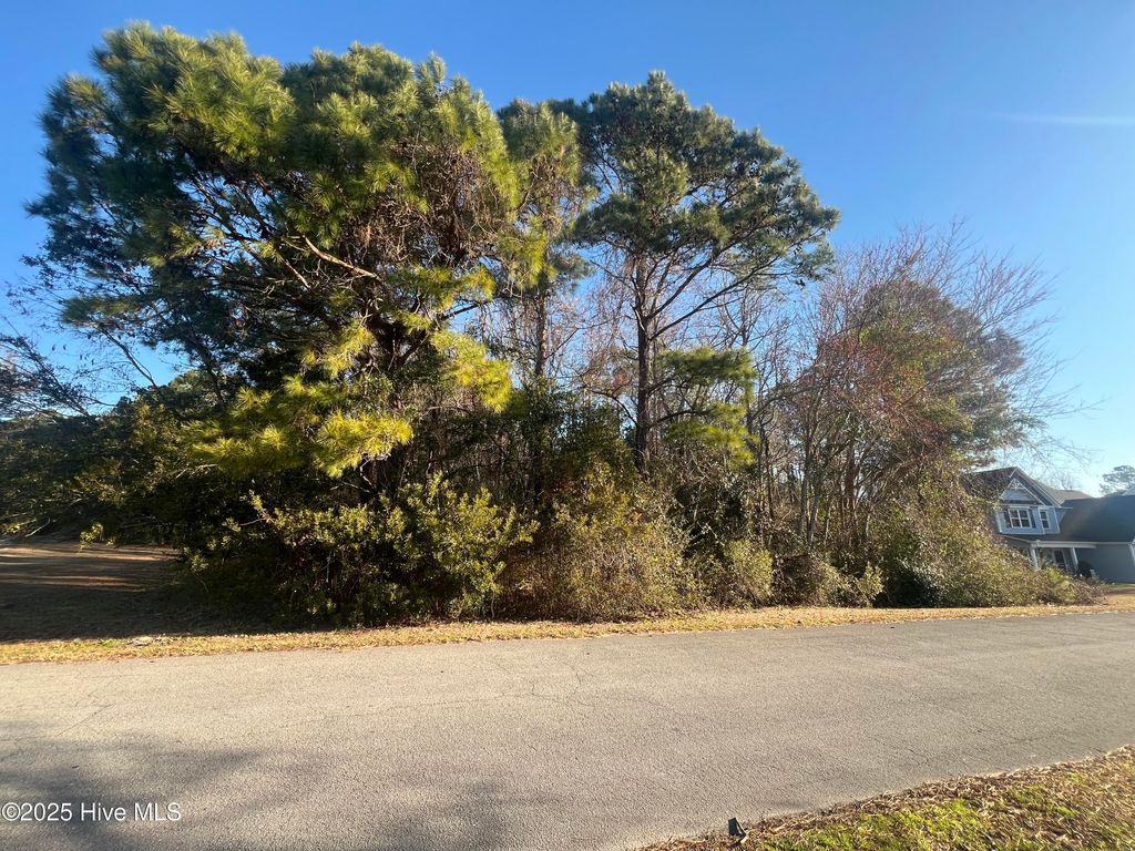 Photo of 2 Riva Ridge Road, Sneads Ferry, NC 28460 (MLS # 100490902)