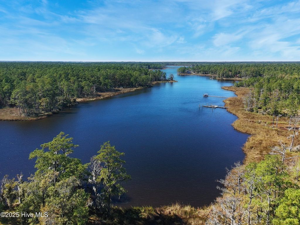Photo of 16 Bailey Pointe Drive, Belhaven, NC 27810 (MLS # 100538032)