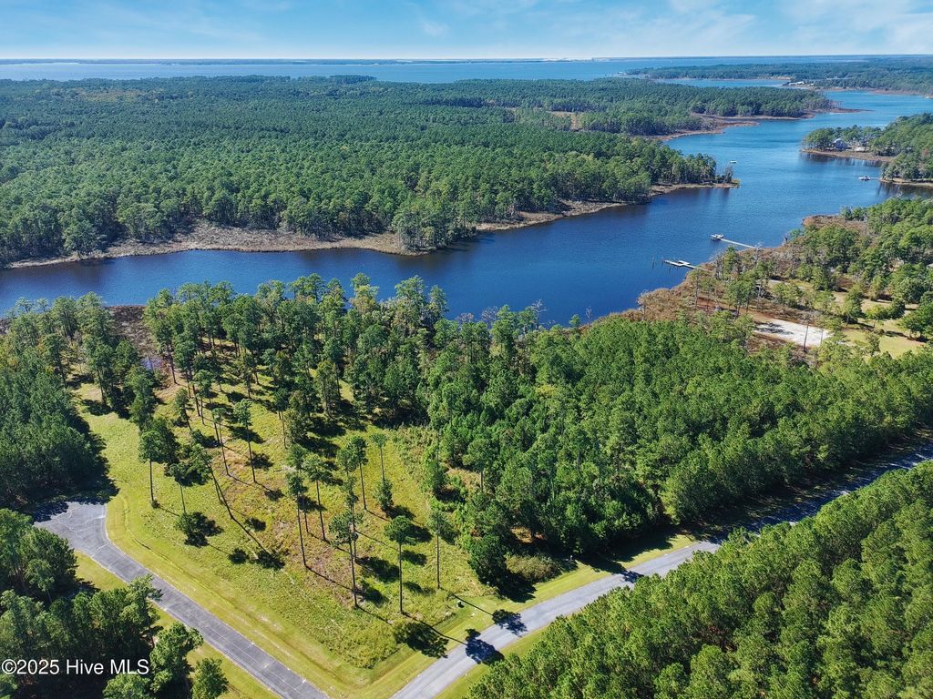 Photo of 16 Bailey Pointe Drive, Belhaven, NC 27810 (MLS # 100538032)