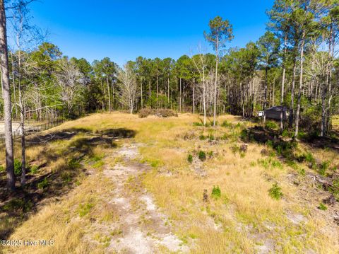 Tiny photo for 1259 N Bryan Road, Jacksonville, NC 28546 (MLS # 100543324)