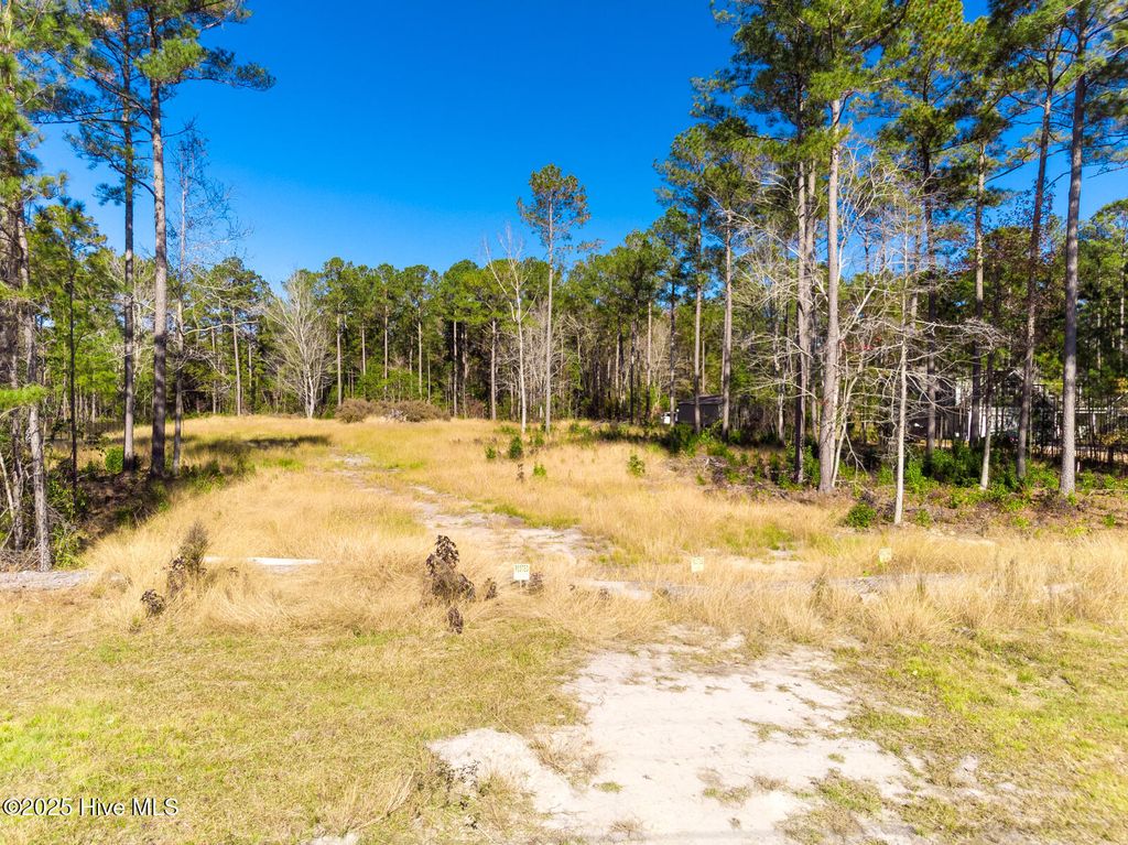 Photo of 1259 N Bryan Road, Jacksonville, NC 28546 (MLS # 100543324)