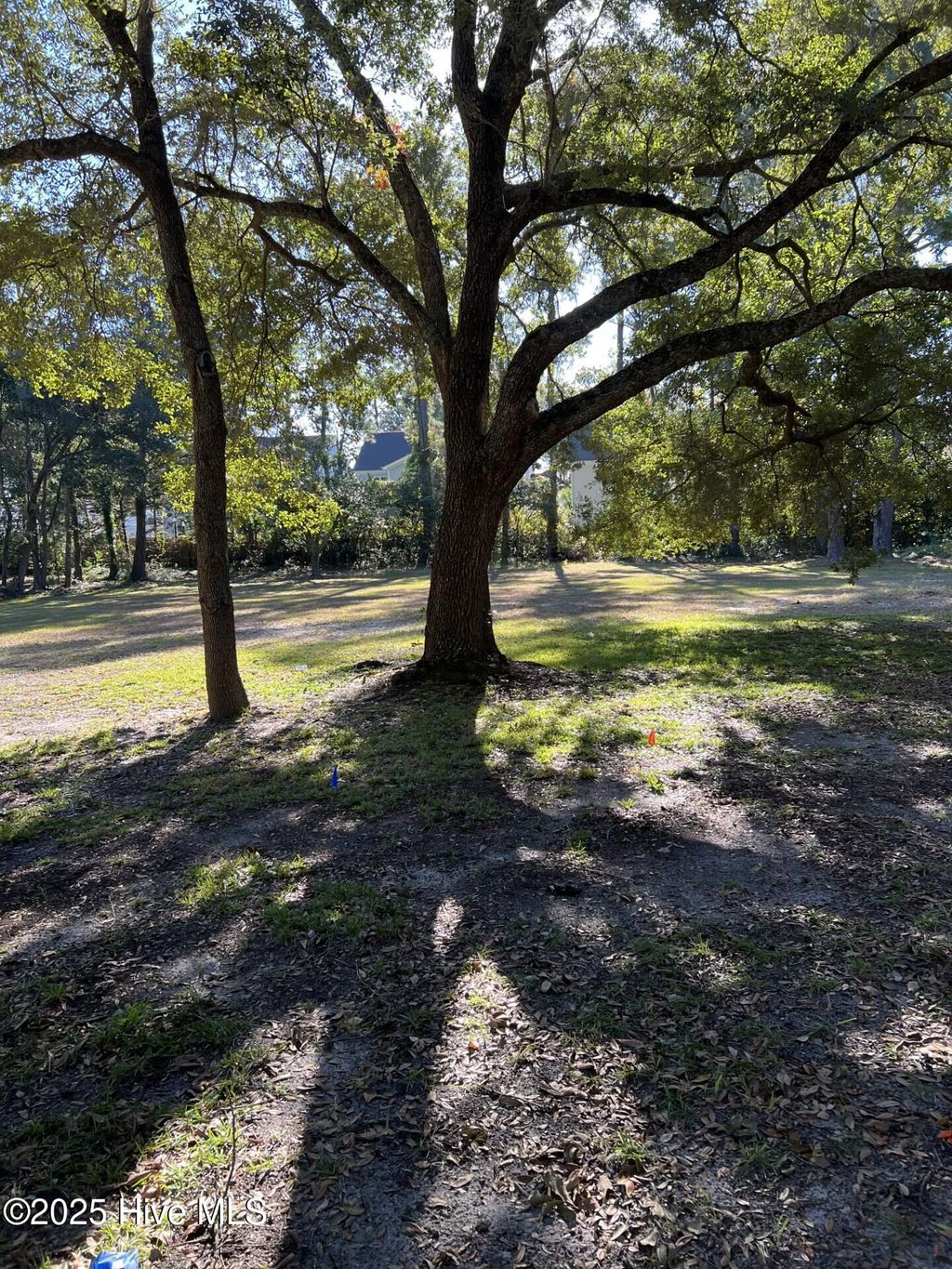 Photo of 6105 Teal Street, Wilmington, NC 28403 (MLS # 100538254)