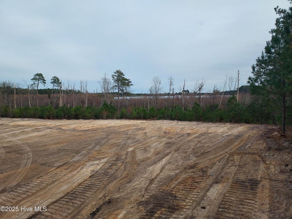 Photo of Tbd Palmer Road, Marston, NC 28363 (MLS # 100543563)