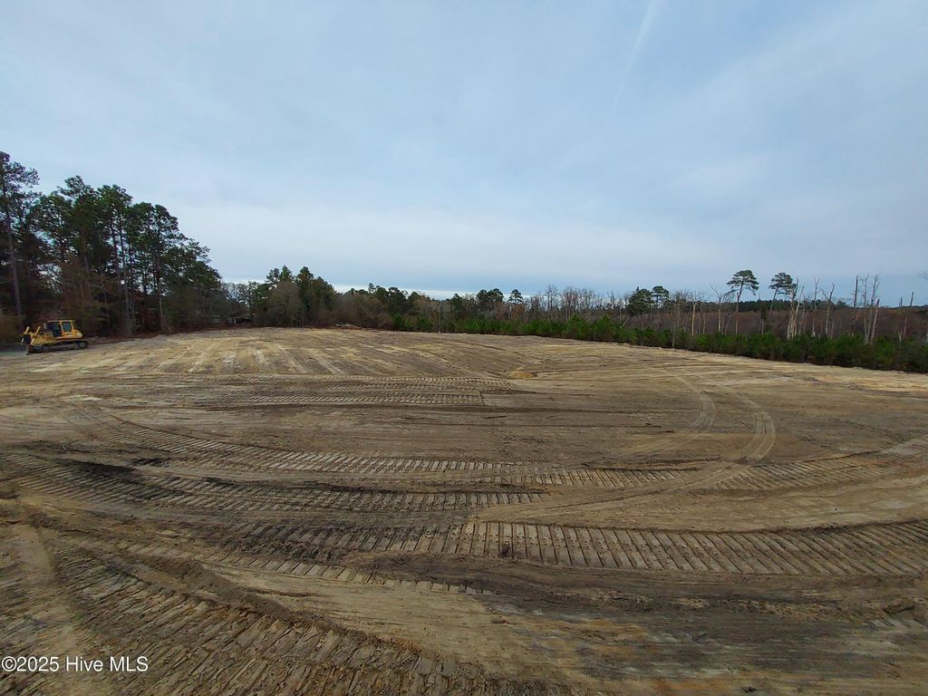Photo of Tbd Palmer Road, Marston, NC 28363 (MLS # 100543563)