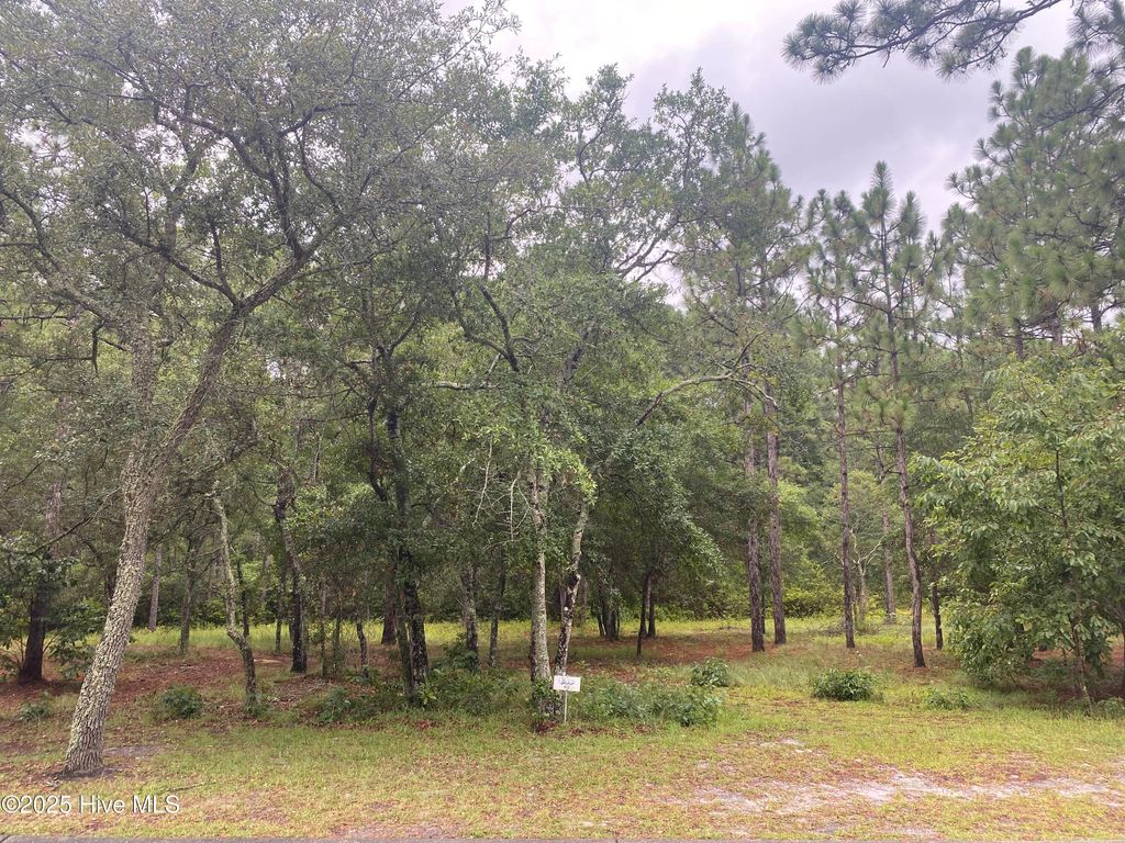 Photo of 3603 Concordia Avenue SW, Supply, NC 28462 (MLS # 100523453)