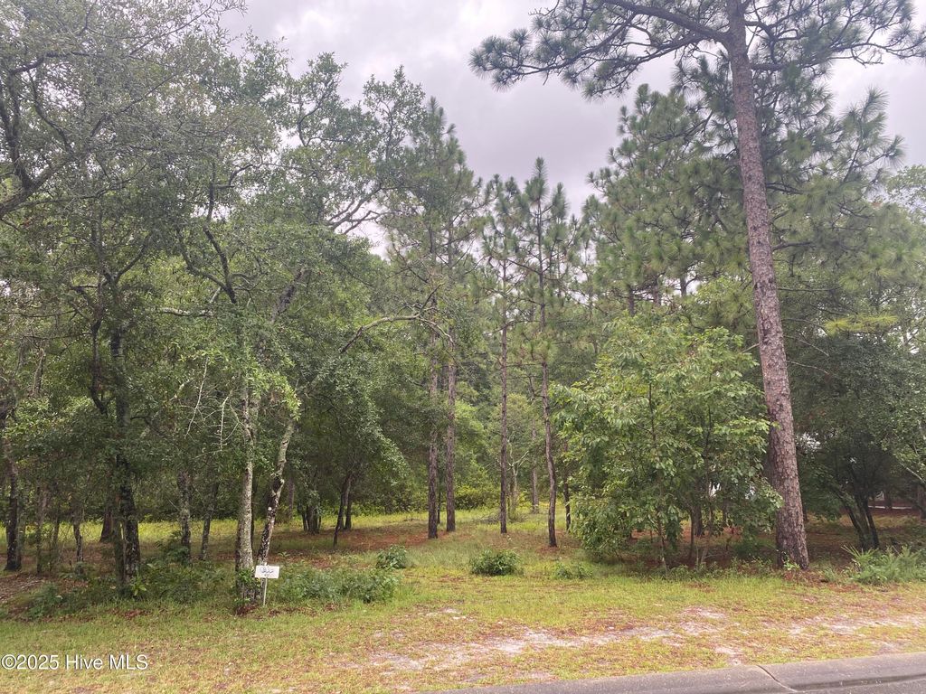 Photo of 3603 Concordia Avenue SW, Supply, NC 28462 (MLS # 100523453)