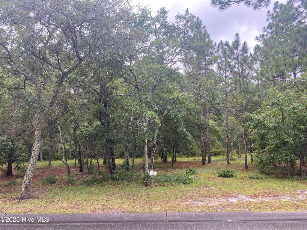 Photo of 3603 Concordia Avenue SW, Supply, NC 28462 (MLS # 100523453)