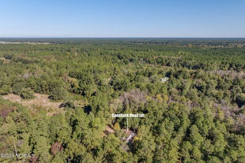Tiny photo for 6715 Canetuck Road, Currie, NC 28435 (MLS # 100526006)