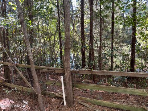 Tiny photo for 6715 Canetuck Road, Currie, NC 28435 (MLS # 100526006)