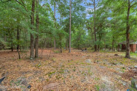 Tiny photo for 6715 Canetuck Road, Currie, NC 28435 (MLS # 100526006)
