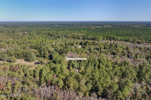 Tiny photo for 6715 Canetuck Road, Currie, NC 28435 (MLS # 100526006)
