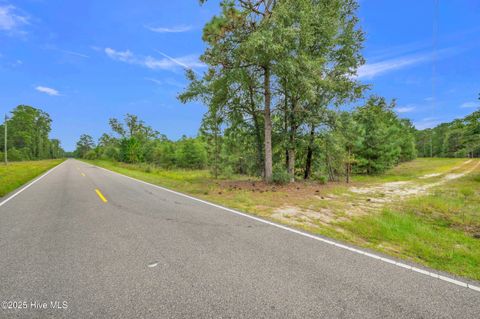 Tiny photo for 6715 Canetuck Road, Currie, NC 28435 (MLS # 100526006)