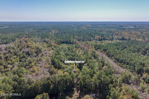 Tiny photo for 6715 Canetuck Road, Currie, NC 28435 (MLS # 100526006)