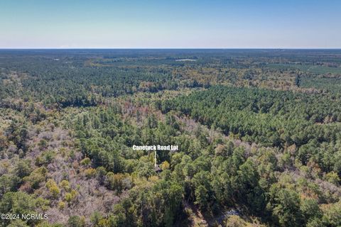 Tiny photo for 6715 Canetuck Road, Currie, NC 28435 (MLS # 100526006)